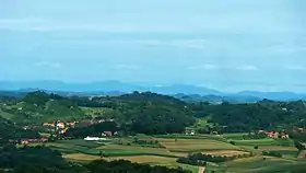Šagudovec