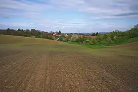Vitčice