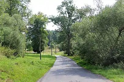 Route no&nbsp;366.