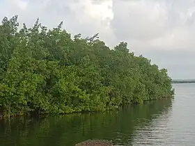 La pointe Beautiran en septembre 2023.