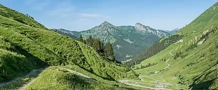 Les pointes de Nyon (2&nbsp;019&nbsp;m) et d'Angolon (2&nbsp;090&nbsp;m), vues depuis l’ouest. Ces deux monts sont immédiatement au sud du bourg de Morzine.
