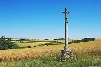 Croix de dévotion sur la route de Frôlois &nbsp;Classé&nbsp;MH (1990).