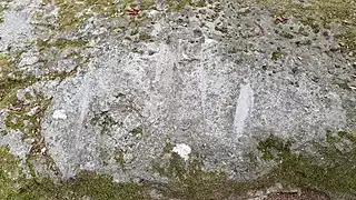 Vue des marques d'un des deux Polissoirs d'Abondant.&nbsp;Classé&nbsp;MH (1925).