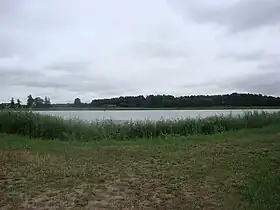 Pomorzany (Mazovie)