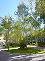 Jardin de la place