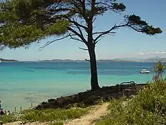 Paysage porquerollais.
