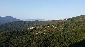 Porri