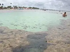 Plage de Porto de Galinhas&nbsp;(pt) - 65&nbsp;km Sud