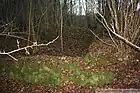 Vue extérieure - dépendances détruites Nord/Ouest