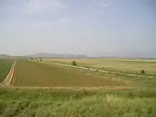 La plaine près de Prilep.