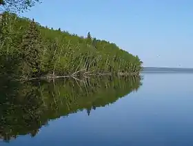 Parc national de Prince Albert