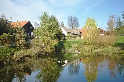 Étang à Proloh.