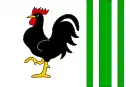 Drapeau de Proseč