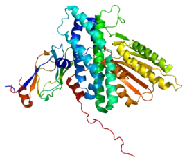 Image illustrative de l’article Dihydrolipoamide S-acétyltransférase