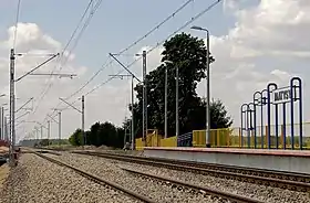 Szaniawy-Matysy