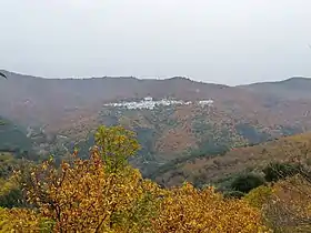 Pujerra