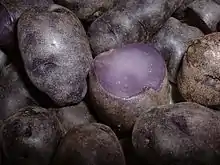 Pomme de terre Vitelotte
