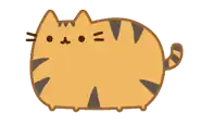 Chatte dans le même style que Pusheen, mais en version orange.