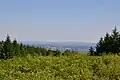 Panorama boisé du puy de la Garde, à Ambazac.