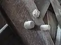 Chevilles de bois dur utilisées