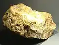 Or natif dans quartz trouvé dans la région d'Hennebont ; morceau d'un filon qui contenait 1&nbsp;077&nbsp;kg d'or (Galerie de Minéralogie et de Géologie du Muséum national d'histoire naturelle, Paris).
