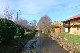 Brazuelo
