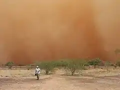 Tempête de sable à Rawa en août 2012