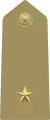 Grade de sous-lieutenant pour les 1re et 2e&nbsp;année.