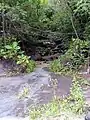 Ravine Duché.