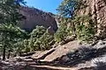Red Mountain Trail