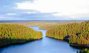 Parc national de Repovesi.