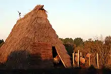 Bergerie couverte de brande dans la réserve du Pinail à Vouneuil-sur-Vienne, dans la Vienne