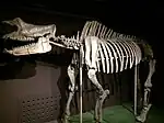 Mont Rhinotitan au troisième étage.