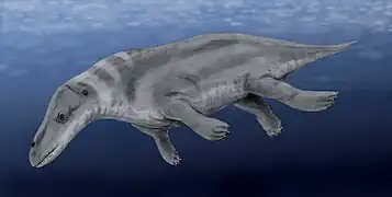 Rhodocetus