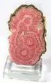 Rhodochrosite (Argentine)