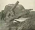 Canons de 200&nbsp;mm utilisés comme mortiers tenus par l'Union pour le mouvement de nuit
