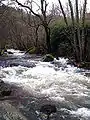 Rio Francia.