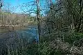 La rivière Rivanna à Shadwell.