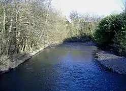 La Rhymney à Bedwas.