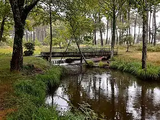 Le Bernin à Vert