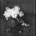 Peonies, vers 1910, Musée des Beaux-Arts de Boston