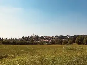 Rogeno