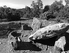 Dolmen de la Gaillarde-sur-Mer.