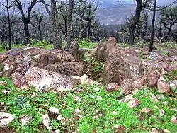 Dolmen de l'Agriotier