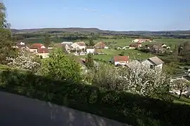 Vue générale.