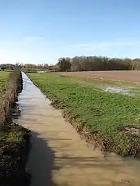 Marchais-Beton, pont de la D 57 (amont), 23 février 2014,champ détrempé.