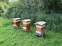 Les ruches du Pont Ballot