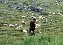 Un berger et son troupeau