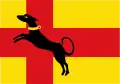 Drapeau de Ruurlo