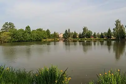 Étang de Trnávce.